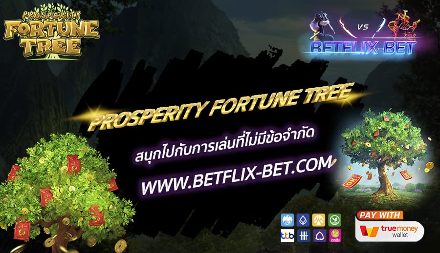 BETFLIX-BET-บทความ5-2