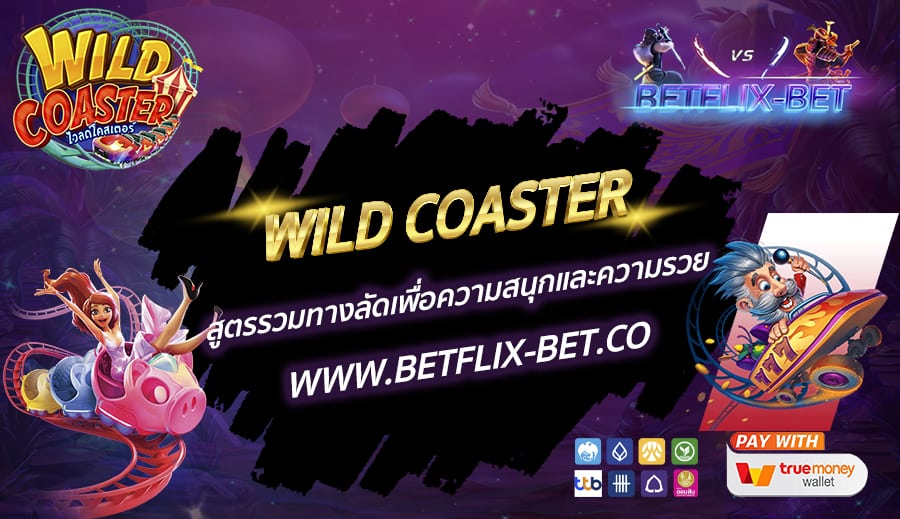 WILD-COASTER
